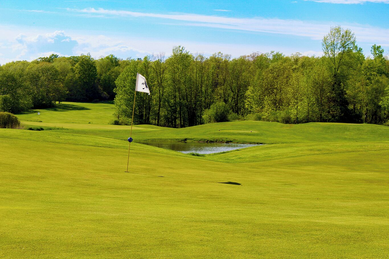 A golf course with a flagstick, water hazards, and a forested background.