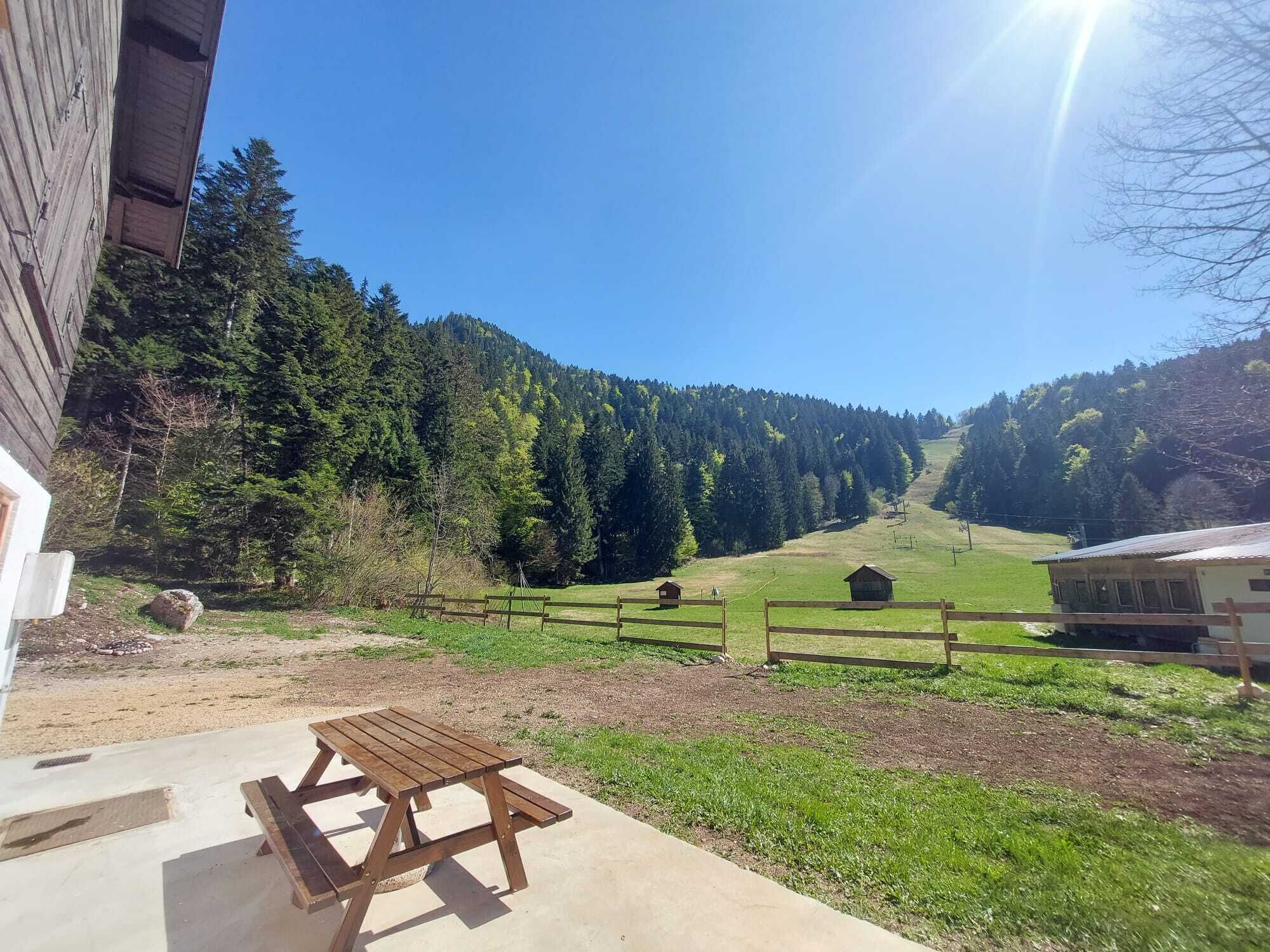 Una mesa de picnic de madera frente a un edificio, con vistas a una ladera boscosa.