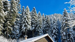 Une cabane en bois à deux étages, dotée d’un toit en pente, de grandes fenêtres et d’une cheminée.