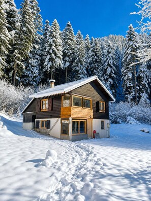 Une cabane en bois à deux étages, dotée d’un toit en pente, de grandes fenêtres et d’une cheminée.