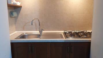 Fridge, stovetop, cookware/dishes/utensils