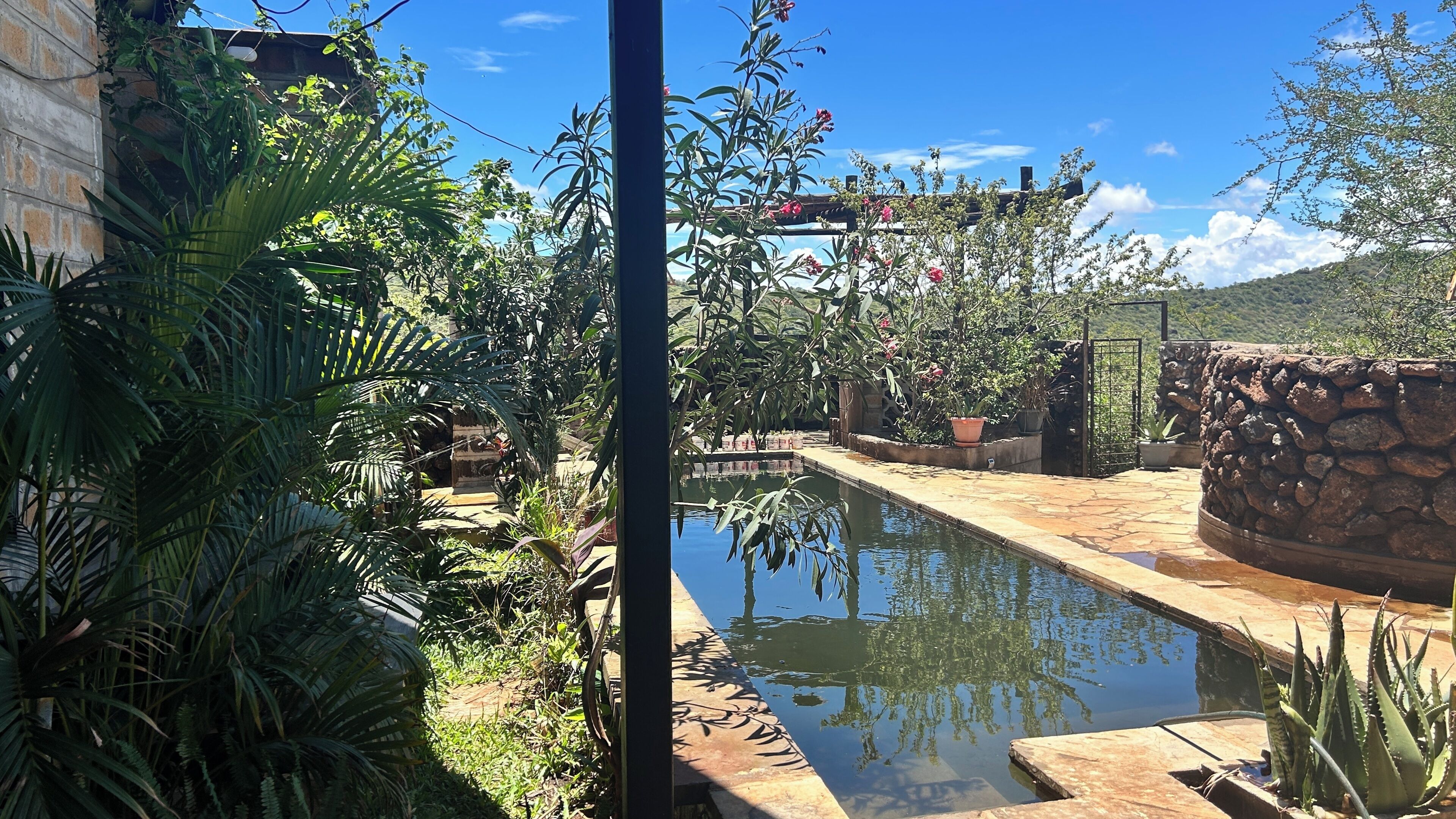 Une piscine entourée d’une végétation luxuriante, d’un mur de pierre et d’un ciel d’un bleu limpide.