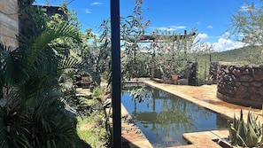 Ein Pool, umgeben von üppiger Vegetation, einer Steinmauer und einem strahlend blauen Himmel.