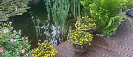 Jardines del alojamiento