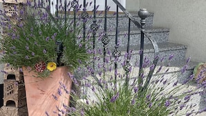 En trappa med ett smidesjärnsräcke, ett litet fågelhus och lavendelplantor.