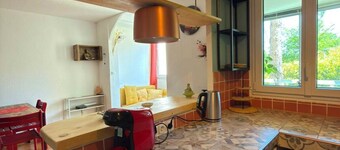 A small, green oasis of peace spanning 80 square meters in Montpellier, Boutonnet