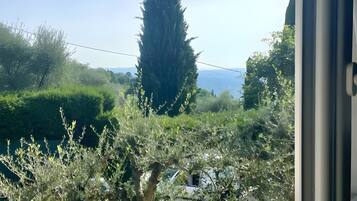 Interni