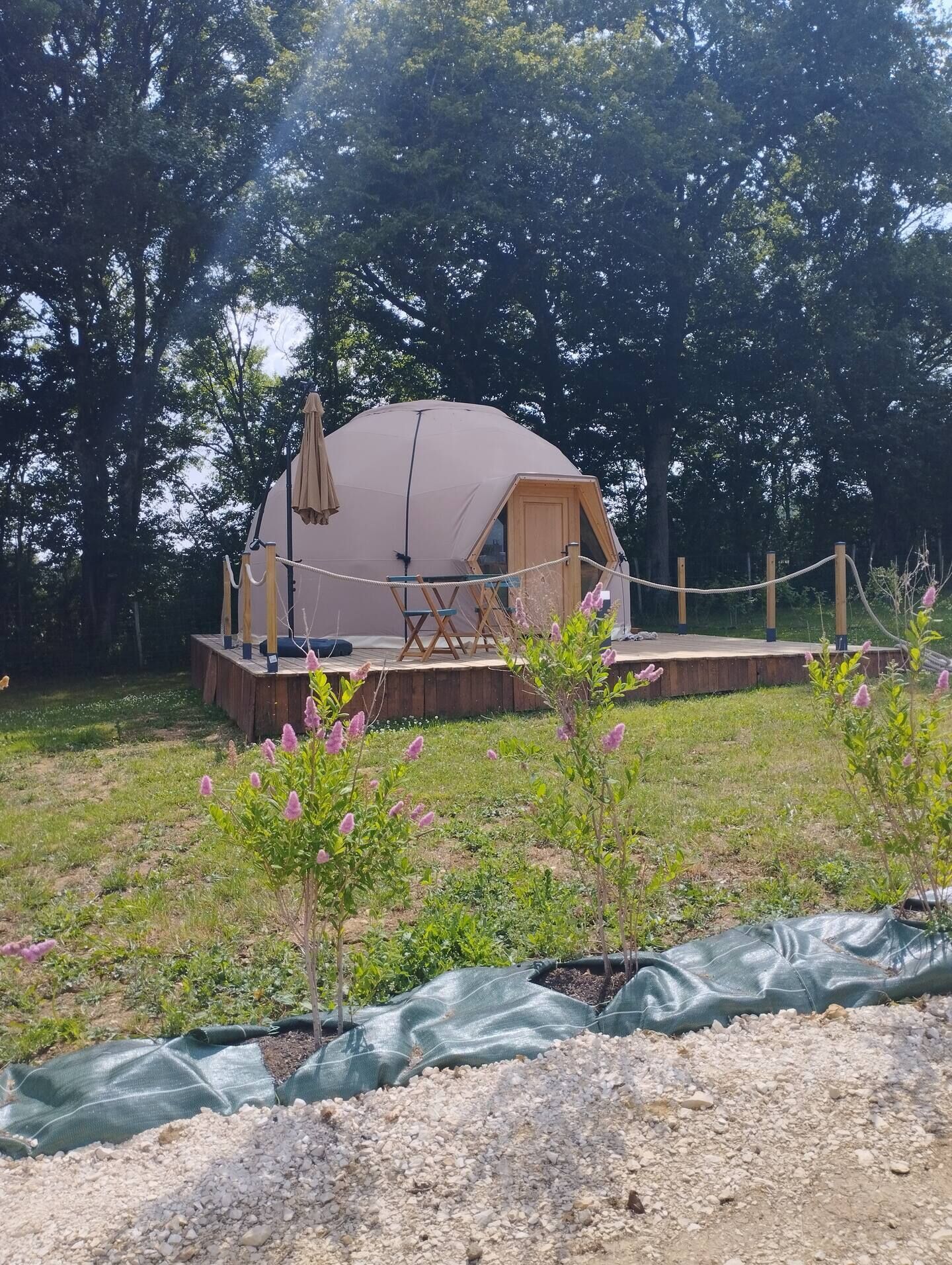 Een koepelvormige tent met een houten terras, omgeven door bomen en een touwomheining.