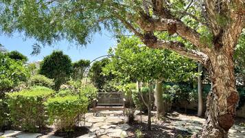 A garden with stone pathways, a wooden bench, and various trees.