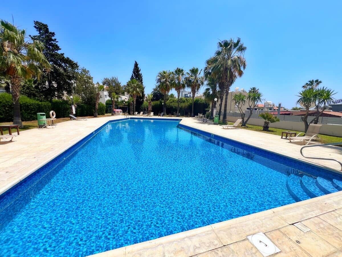 A rectangular swimming pool with clear blue water, surrounded by a tiled deck and palm trees.