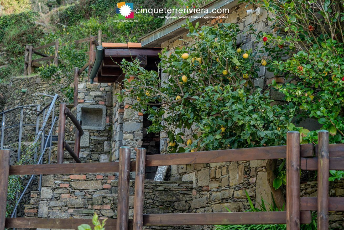 Detalhe da fachada