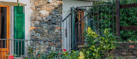 Green shutters and garden