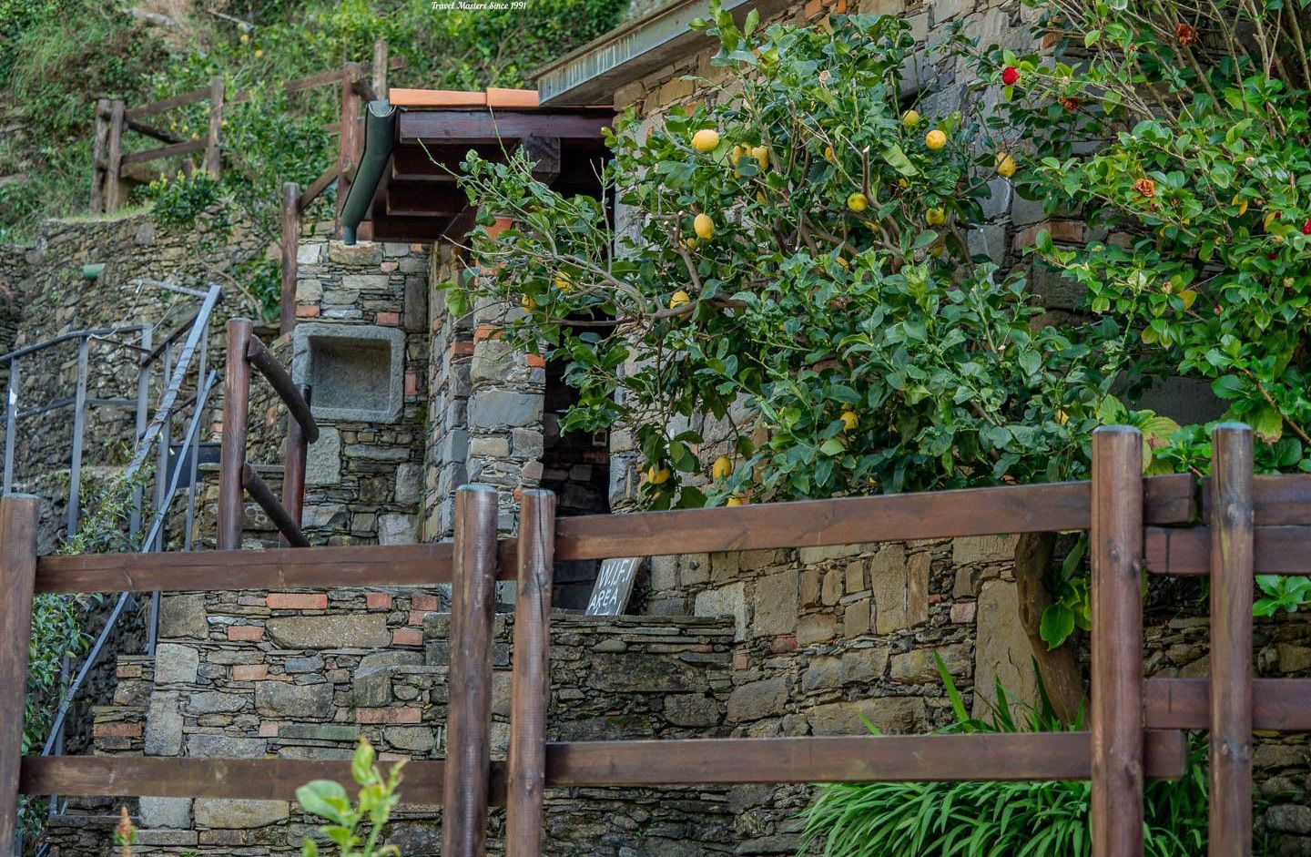 Garden gate and steps