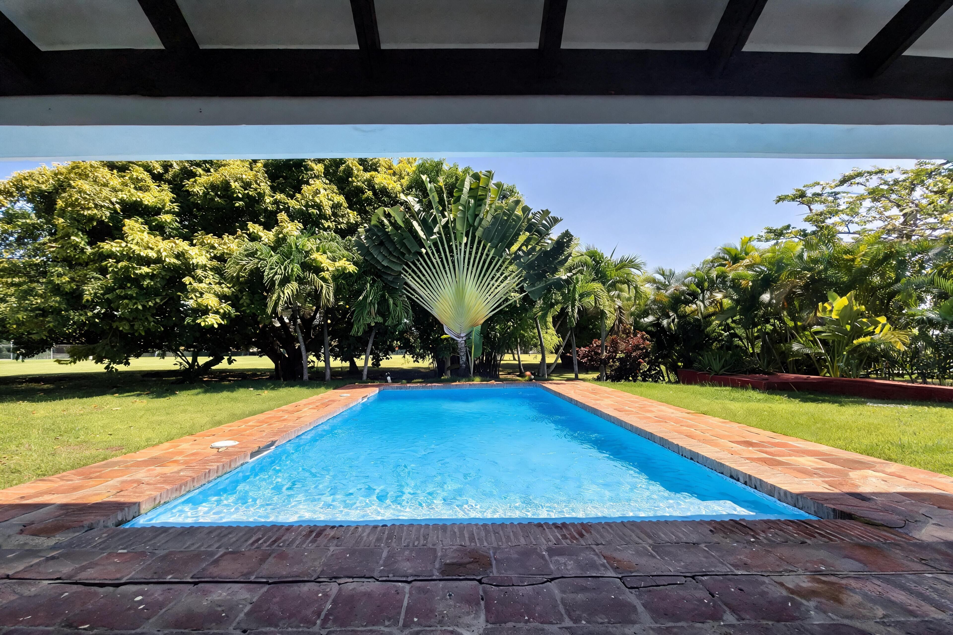 A rectangular swimming pool with a brick border, surrounded by a garden with various trees and a clear blue sky.