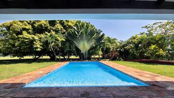 A rectangular swimming pool with a brick border, surrounded by a garden with various trees and a clear blue sky.