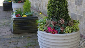 Eine Reihe großer, weißer Pflanzgefäße mit verschiedenen Pflanzen und Blumen entlang der Fassade eines Steingebäudes.