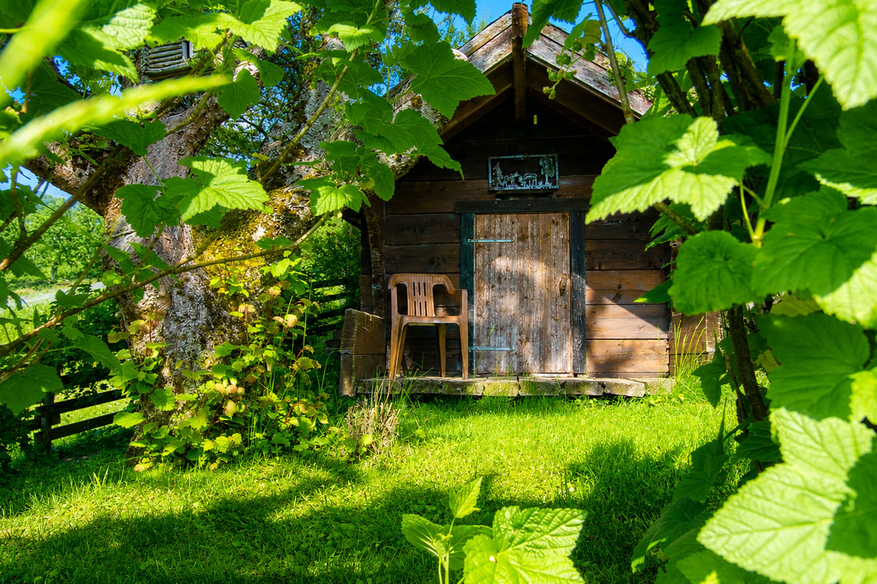 Una cabaña de madera rústica con porche, rodeada de abundante vegetación.