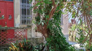 A courtyard with a red door, a window with metal bars, and various plants.