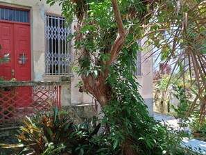 Un patio con una puerta roja, una ventana con rejas y diversas plantas.