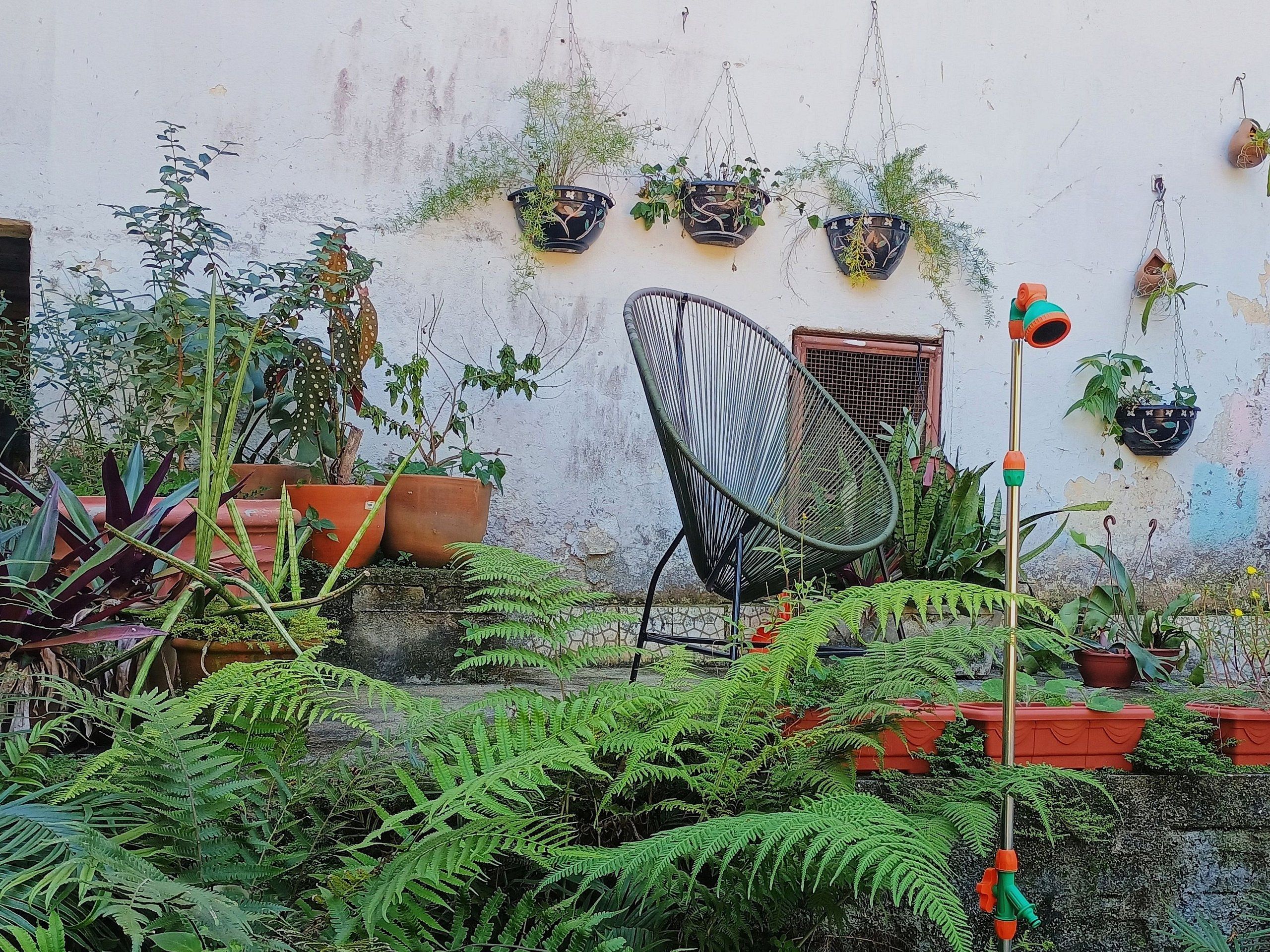 Comfort Villa | Property grounds