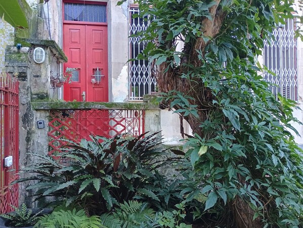 Una puerta roja, una reja de metal y abundante follaje.
