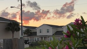 Un quartier résidentiel avec des maisons, une clôture en bois et des plantes en fleurs.