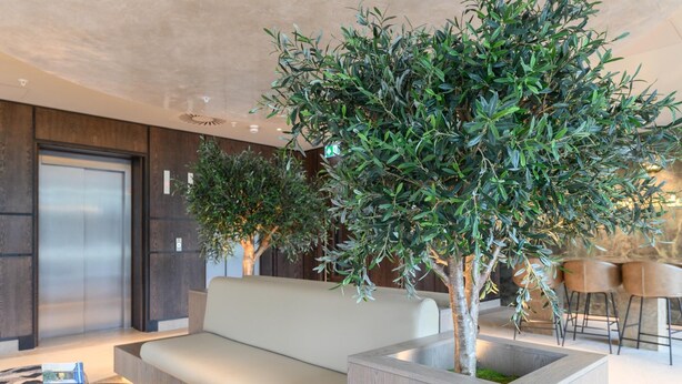 Un interior moderno con un sofá, una jardinera con un árbol y un ascensor.