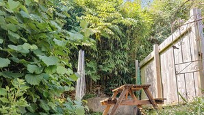A garden with a wooden structure, a metal gate, and dense foliage. - Seaview (Lyme Regis)