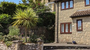 A stone building with a tiled roof, a stone wall, and a large plant in the foreground. - Seaview (Lyme Regis)