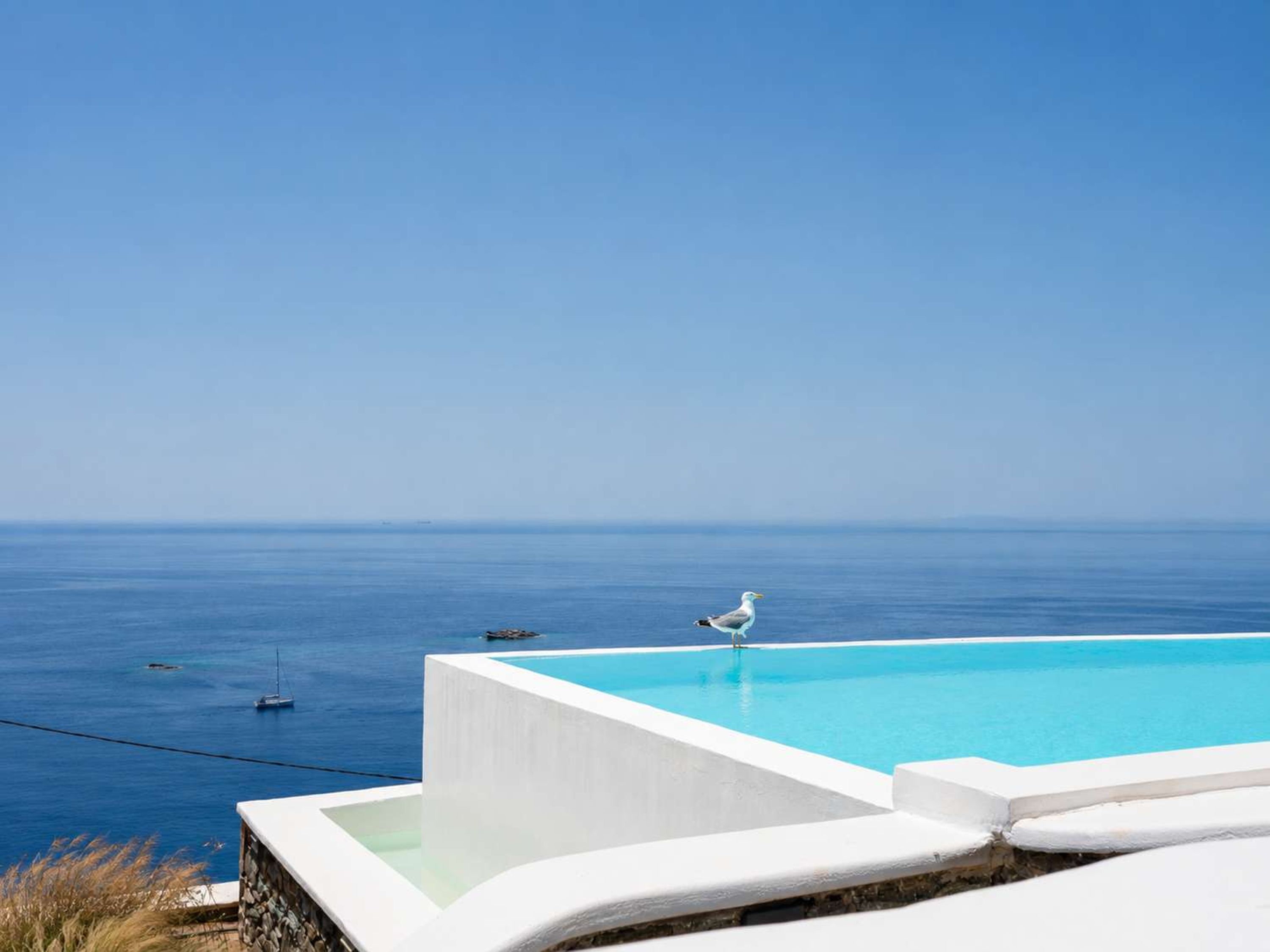 Una piscina con vista despejada al océano y una gaviota.