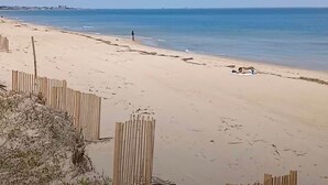 Ein Sandstrand mit einer Holzlattenzaun und eine Person, die gerade geht.