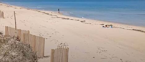A sandy beach with a wooden fence and a person walking.
