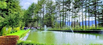 CABIN FOR 4 PEOPLE #7 @JARDIN RINCON DE LAS ESTRELLAS