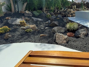 Property grounds - A haven of design and calm with pool in Lanzarote (Guatiza, Las Palmas)