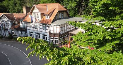 Hotel Zur Luppbode