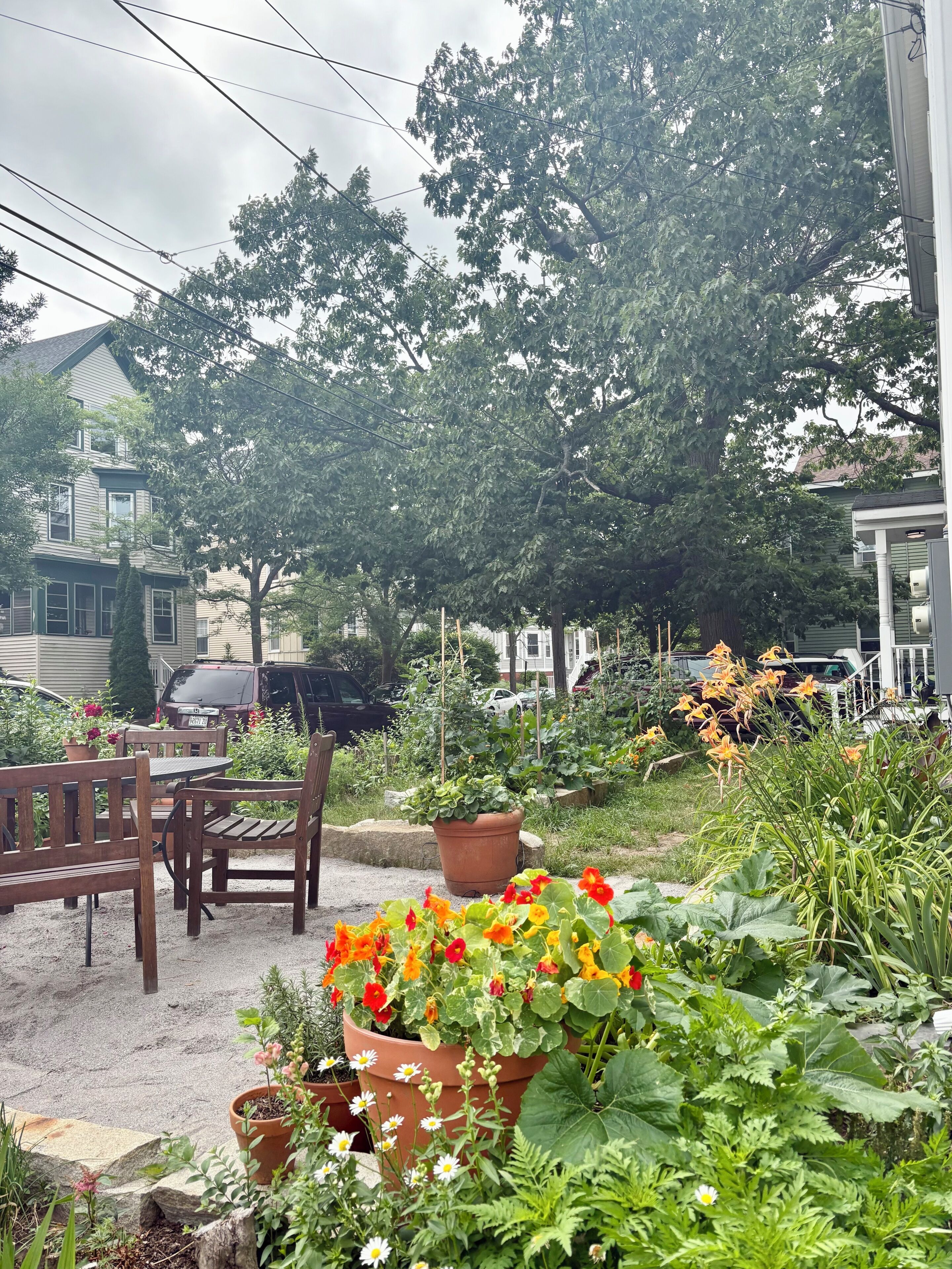 A garden with potted plants and a wooden bench.