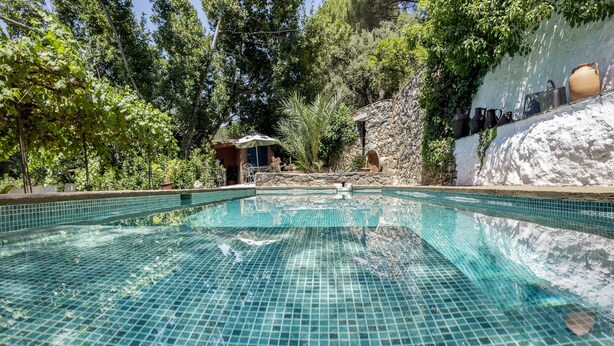 A clear swimming pool with a tiled edge, surrounded by trees and a stone wall.