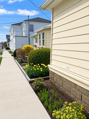 Una calle residencial con casas, aceras y macizos de flores.