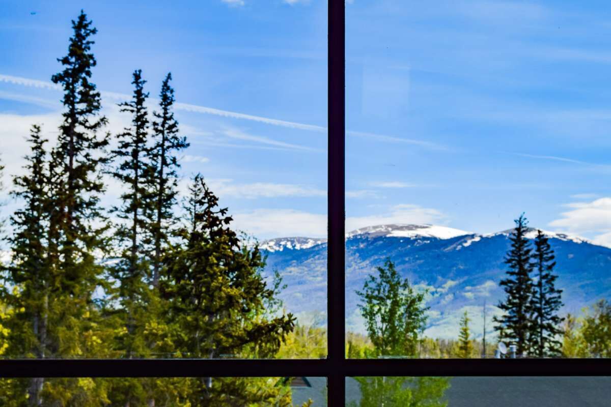 Una ventana con vistas a altos árboles de hoja perenne y una cordillera.