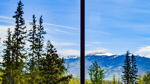 Ein Fenster mit Blick auf hohe Nadelbäume und ein Gebirge.