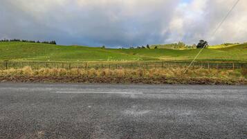 Ländliche Landschaft mit einer Straße, Wiesen und einem Zaun.