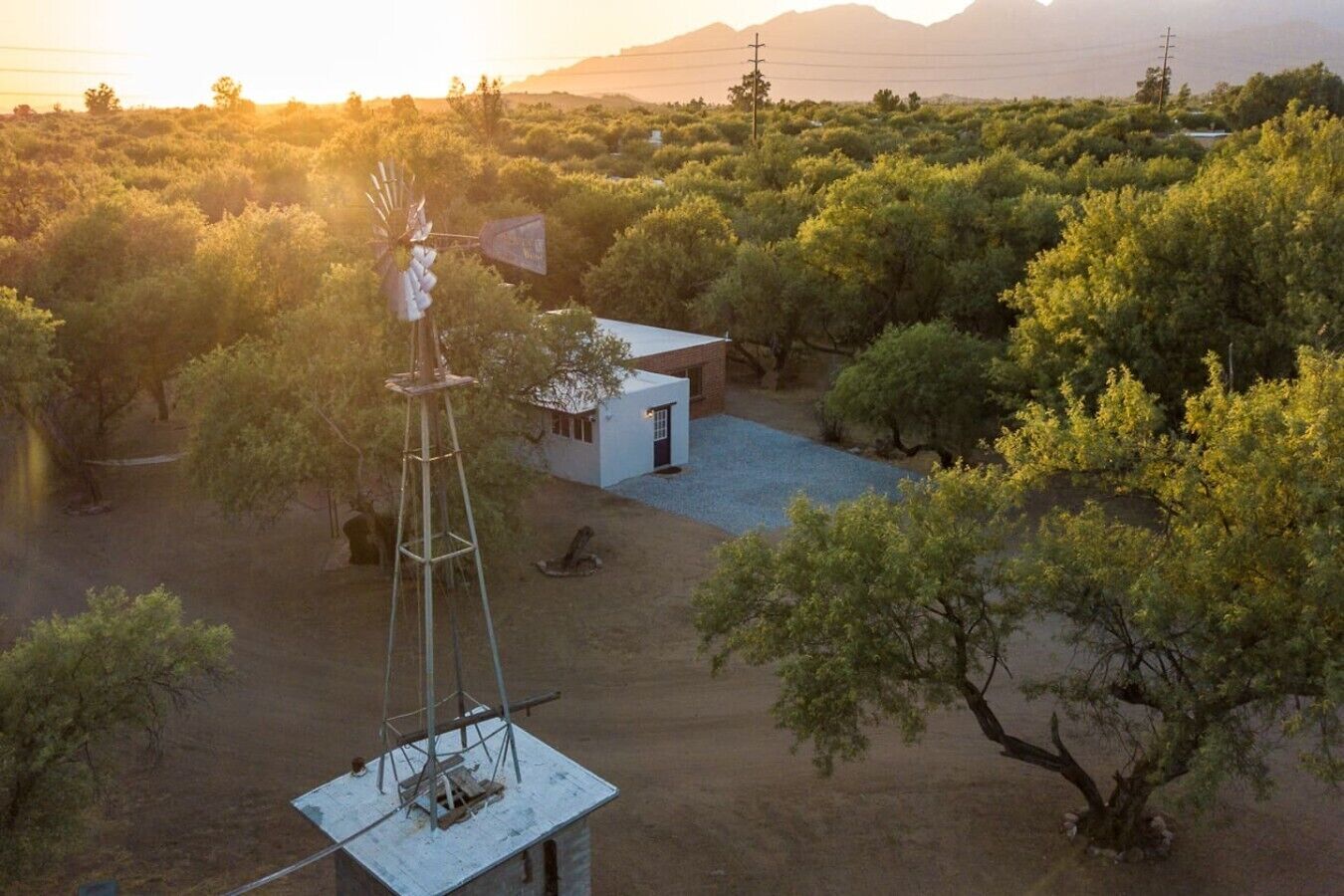 A small house with a windmill, surrounded by dense vegetation and a clear sky.