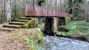 Un puente de madera sobre un río con escalones que conducen a él, rodeado de árboles y vegetación.