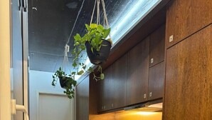 A narrow hallway with a wooden cabinet, a sink, and hanging plants. - 'Casa Maramar' – with Wi-Fi and Air Conditioning (Angra do Heroísmo)