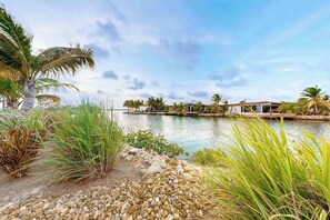 Property grounds - Waterfront villa with pool, spacious deck, dog-friendly & office space (Placencia)