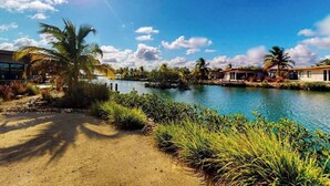 A serene riverside view with a sandy path, palm trees, and a clear blue sky. - Elegant waterfront villa with private pool, terrace and beach club access (Placencia)