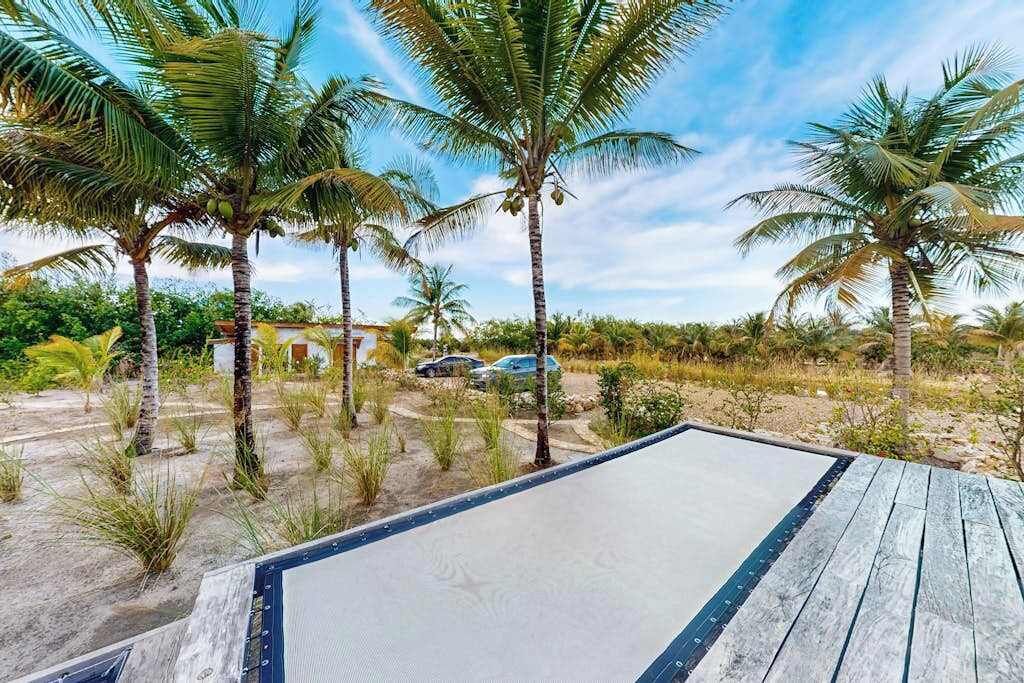 A poolside area with palm trees and a clear sky.