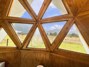 A room with a wooden ceiling and large windows offering a view of a grassy field and mountains.