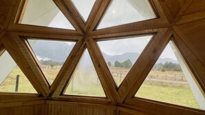 A room with a wooden ceiling and large windows forming a diamond pattern.
