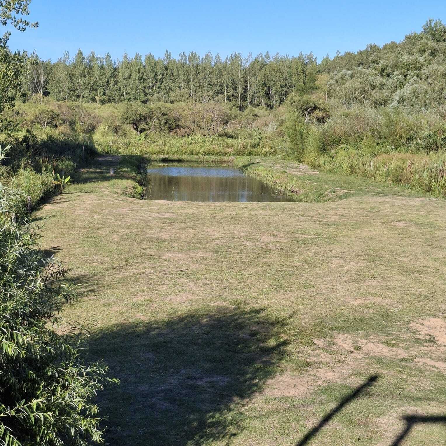 Ett naturligt landskap med en damm, en gräsyta och en tät skog i bakgrunden.